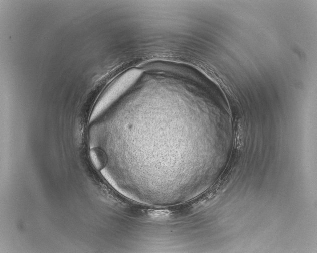 X0000115160355200911171306