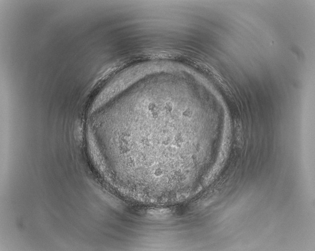 X0000115160357200911171306