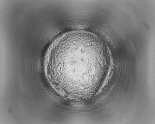 X0000115160359200911171306