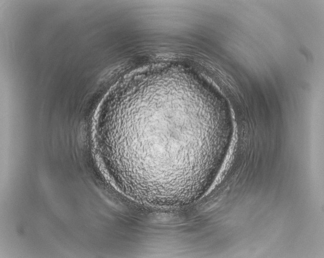 X0000115160361200911171306