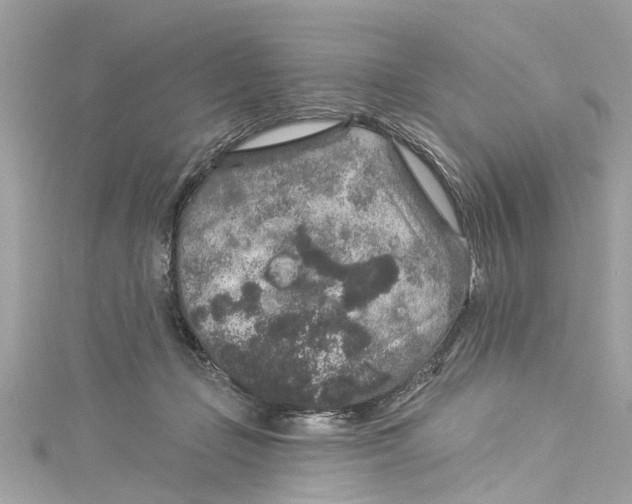 X0000115160365200911171306