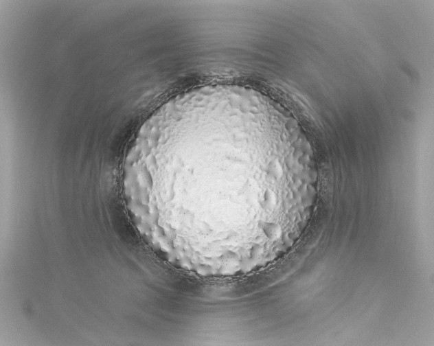 X0000115160369200911171306