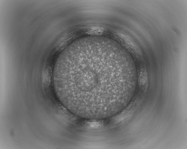 X0000115160370200911171306