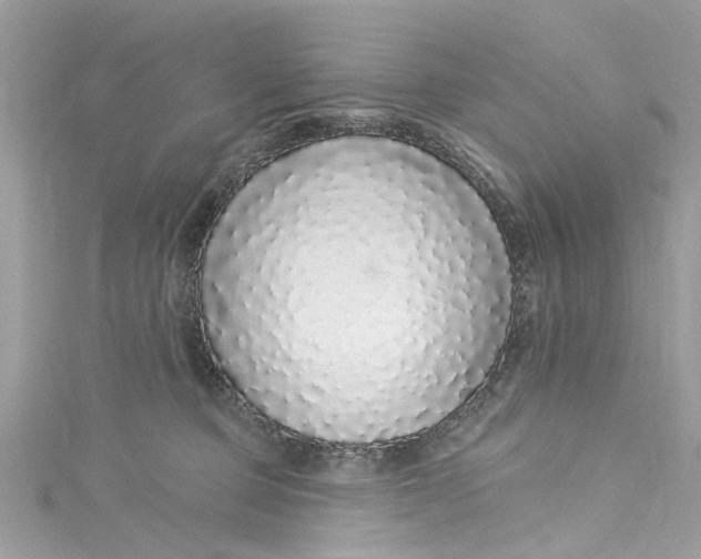 X0000115160373200911171306