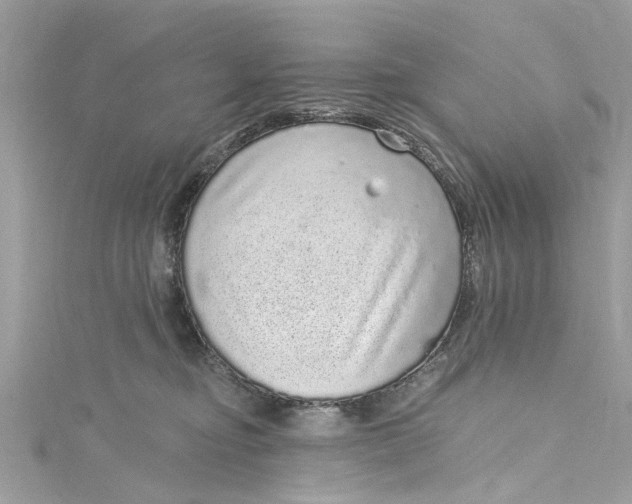 X0000115160374200911171306