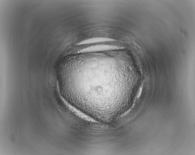 X0000115160375200911171306