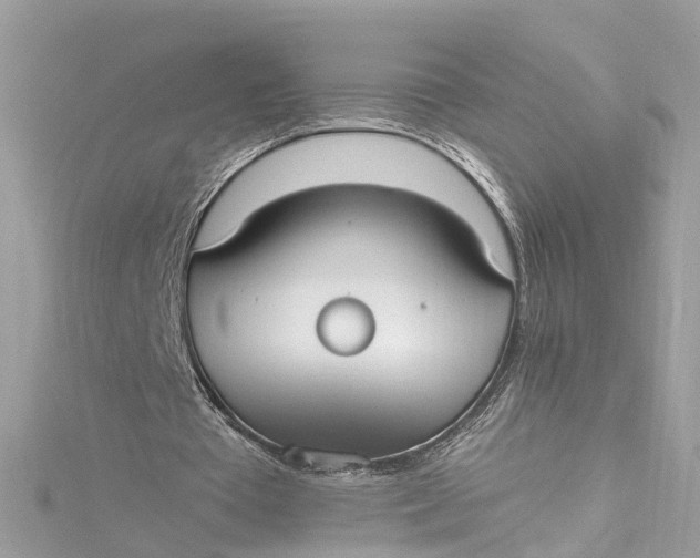 X0000115160385200911171306