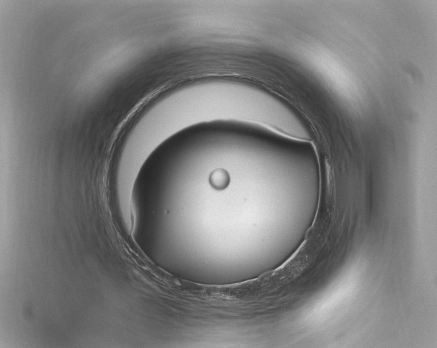 X0000115160387200911171306