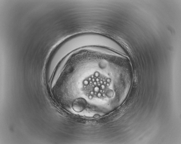 X0000115160388200911171306