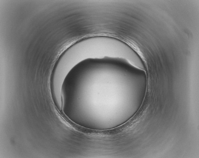 X0000115160389200911171306