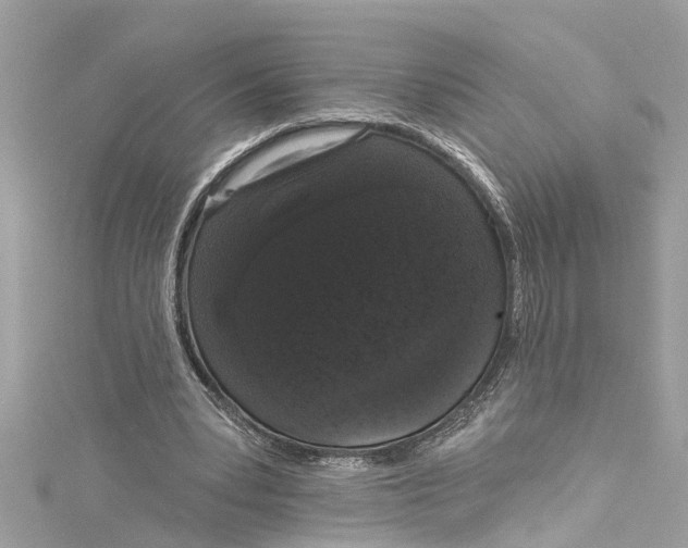 X0000115160391200911171306