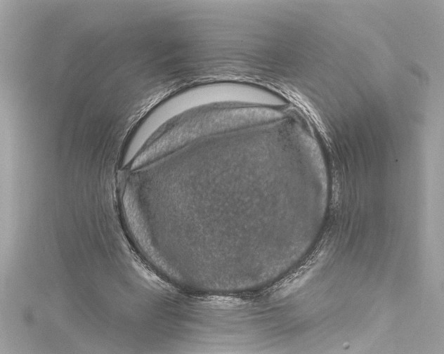 X0000115160393200911171306