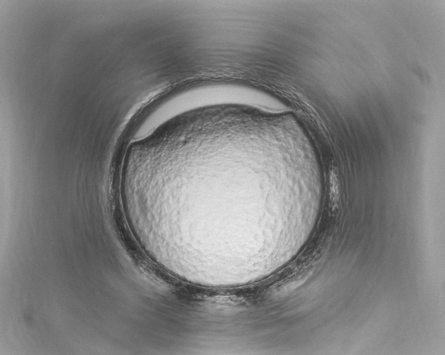 X0000115160396200911171306