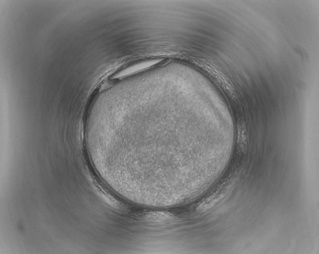 X0000115160397200911171306