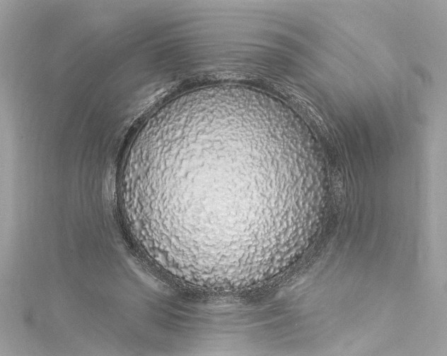 X0000115160398200911171306