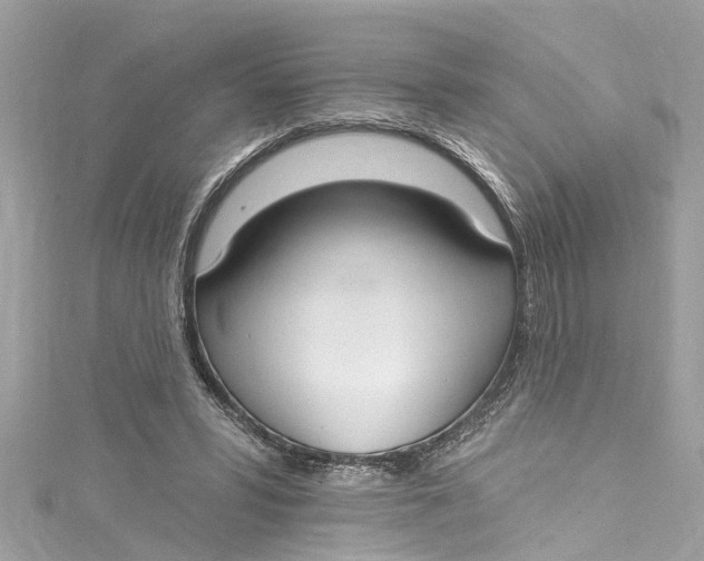 X0000115160399200911171306