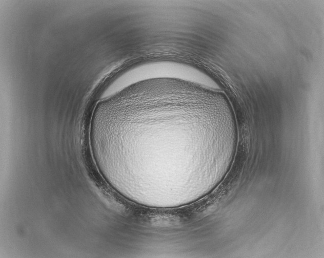 X0000115160400200911171306