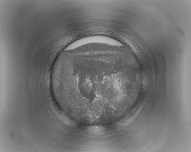 X0000115160402200911171306