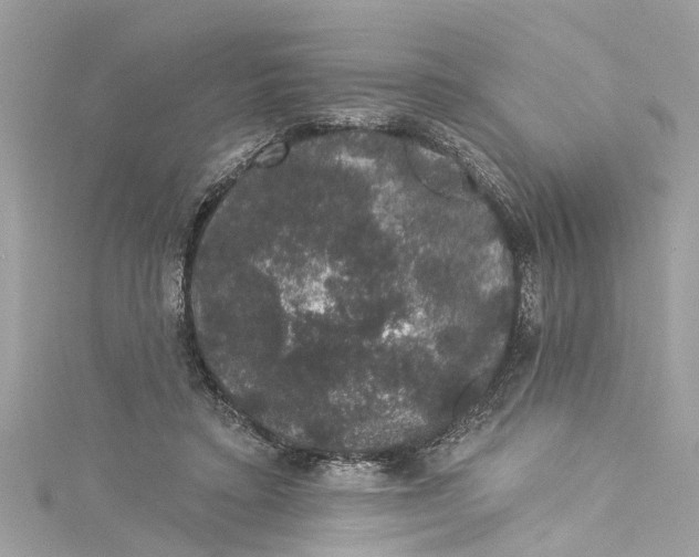 X0000115160403200911171306