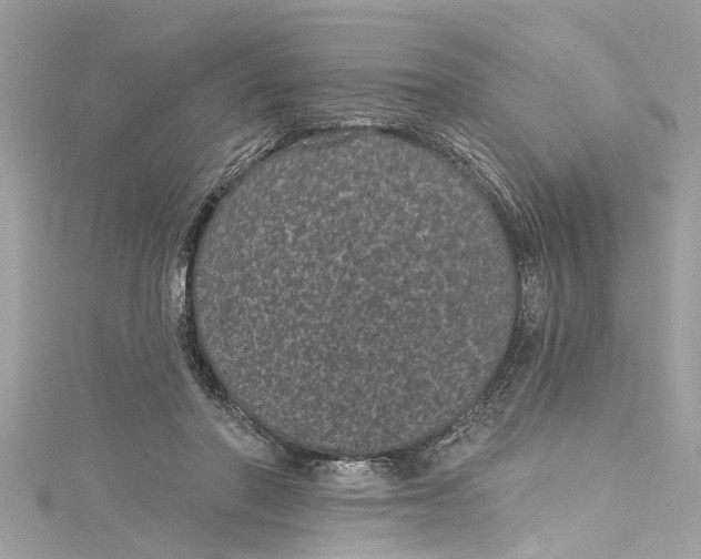 X0000115160406200911171305