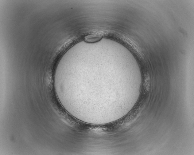 X0000115160407200911171305