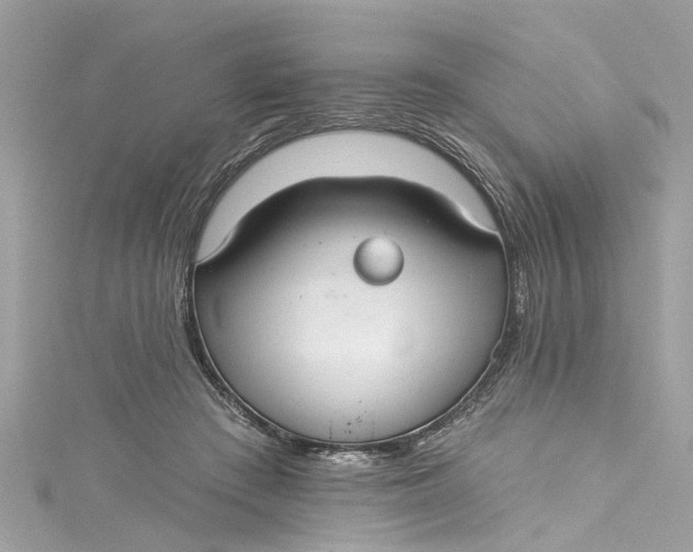 X0000115160409200911171305