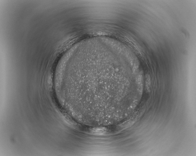 X0000115160410200911171305