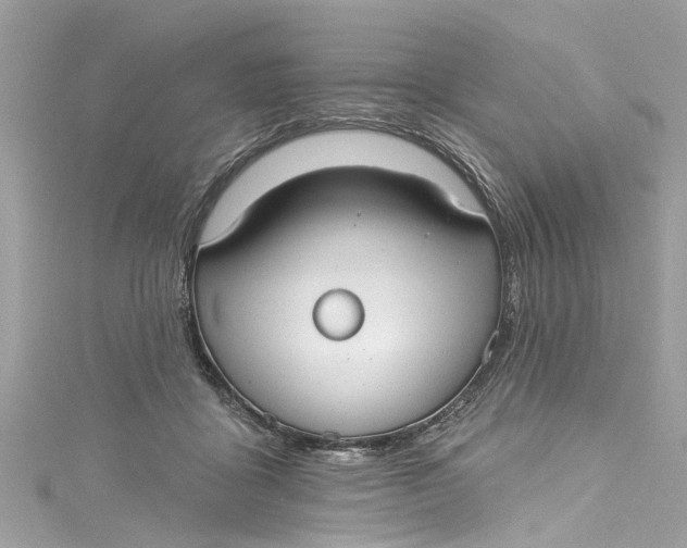 X0000115160411200911171305