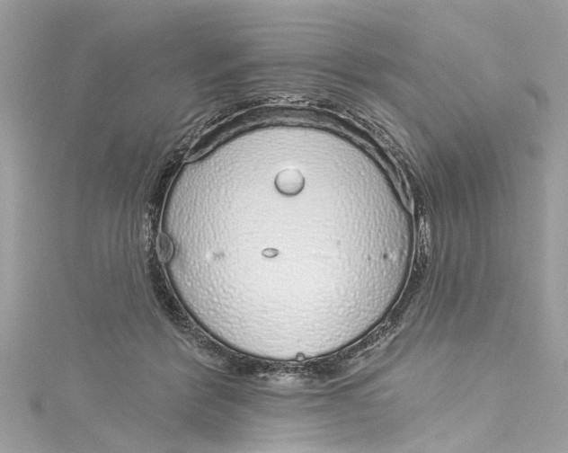 X0000115160412200911171305