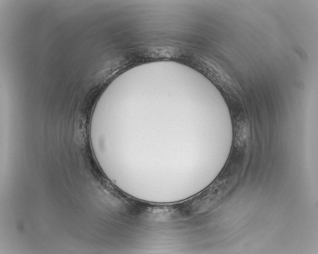 X0000115160414200911171305