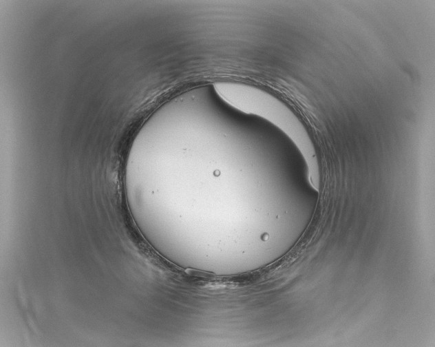 X0000115160415200911171305