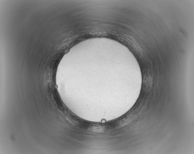 X0000115160416200911171305