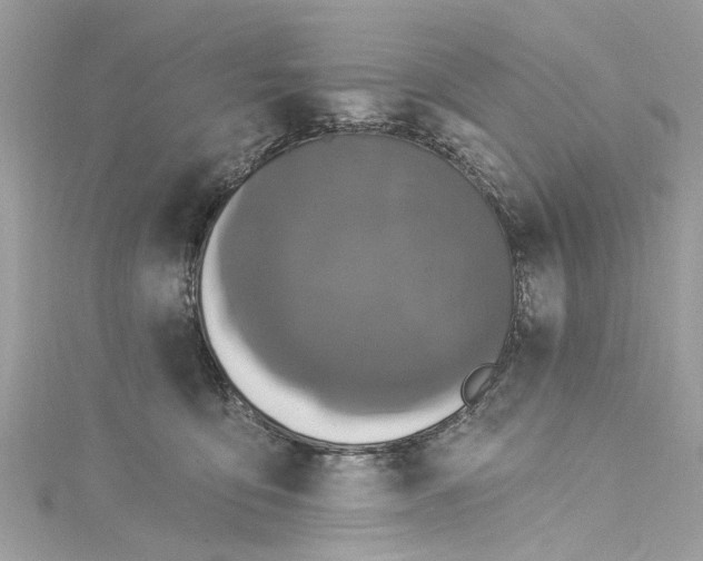 X0000115160419200911171305