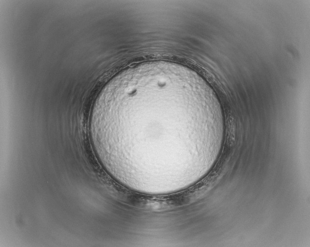 X0000115160420200911171305