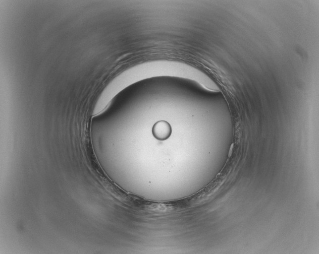 X0000115160421200911171305