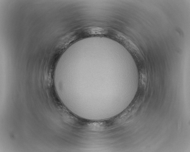 X0000115160422200911171305