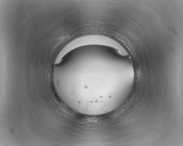 X0000115160423200911171305