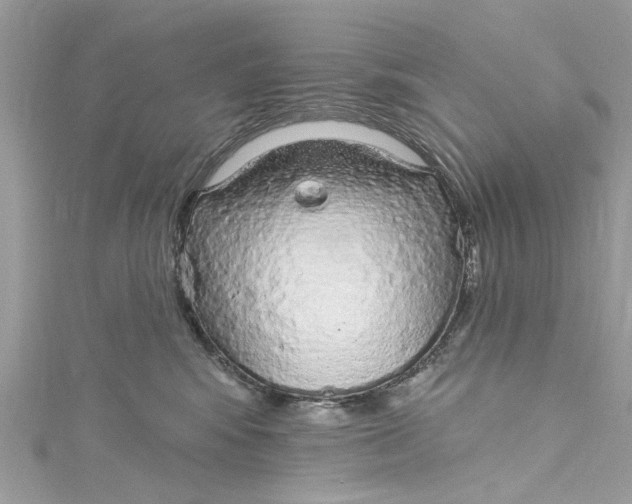 X0000115160424200911171305