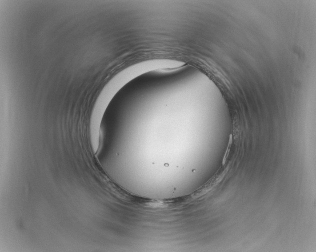 X0000115160425200911171305