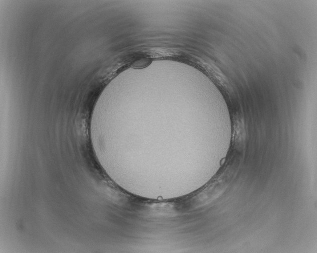 X0000115160426200911171305