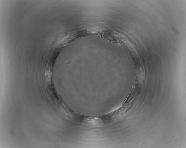 X0000115160427200911171305