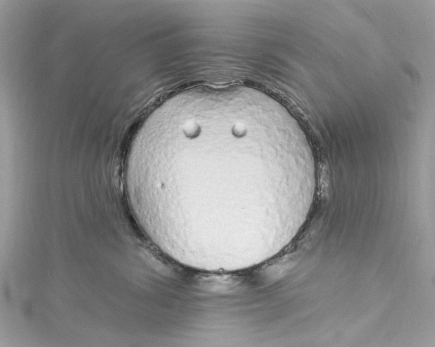 X0000115160428200911171305