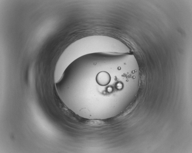 X0000115160429200911171305