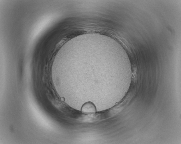 X0000115160430200911171305