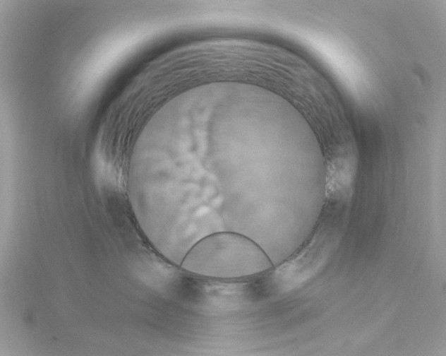 X0000115160431200911171305