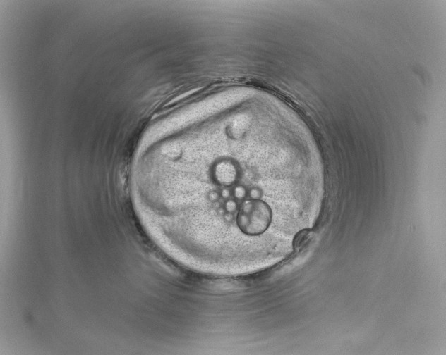 X0000115160432200911171305