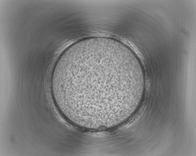 X0000115160433200911171305