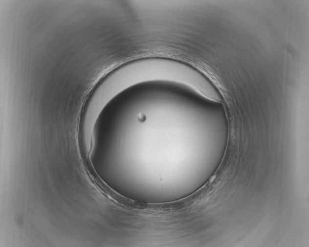 X0000115160434200911171305