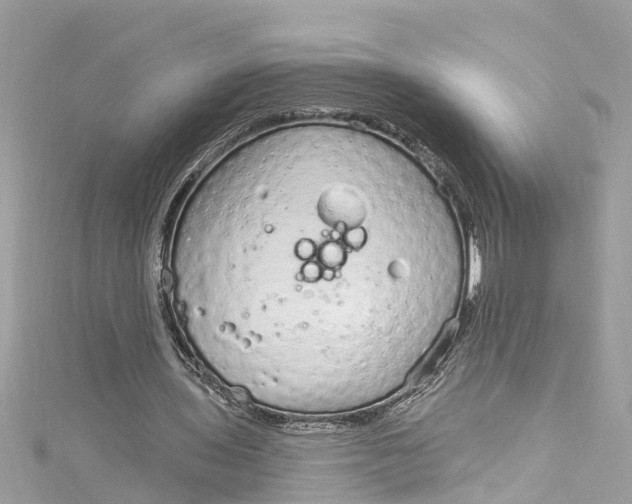 X0000115160435200911171305