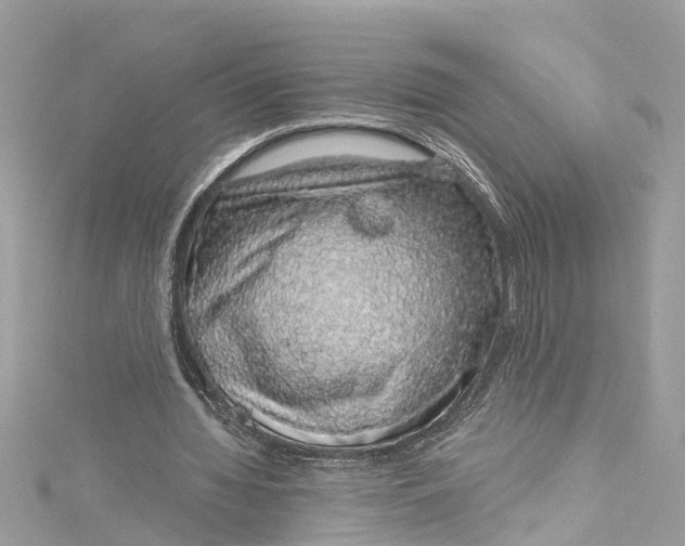 X0000115160436200911171305